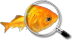 En savoir plus, poisson loupe